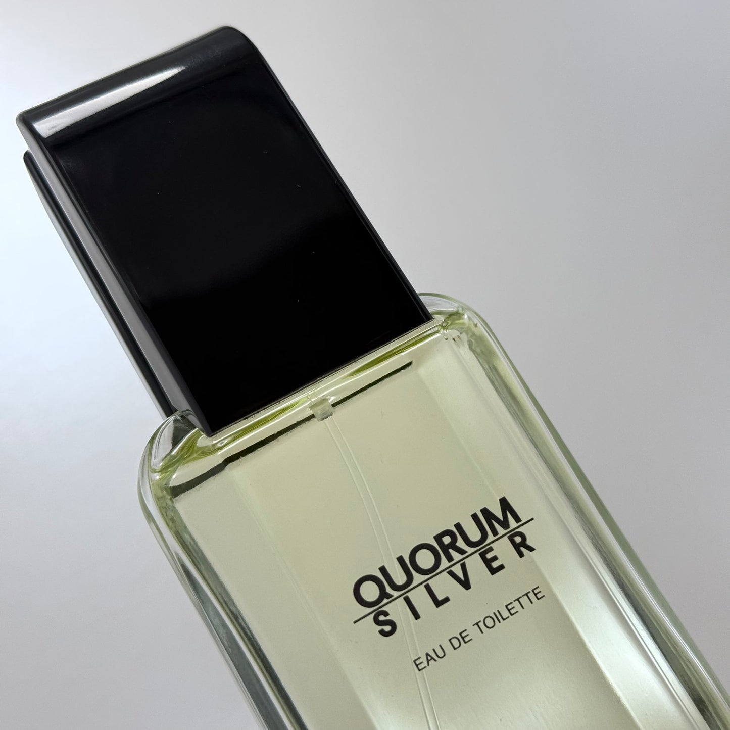 Quorum Silver Eau de Toilette 100 ml